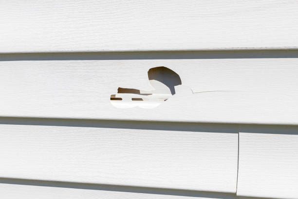 Same-Day Junk Removal Services in Minden, LA