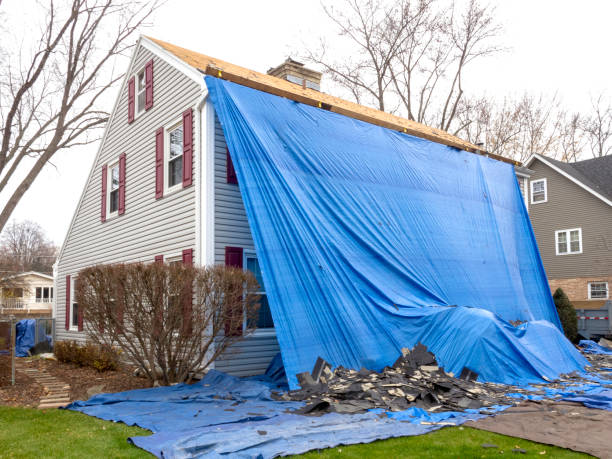 Best Yard Waste Removal  in Minden, LA
