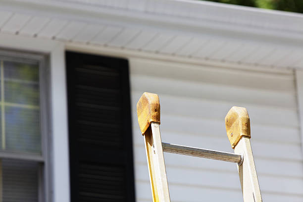 Best Carpet Removal and Disposal  in Minden, LA